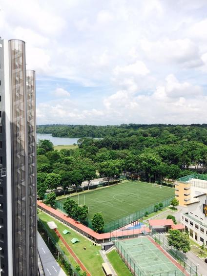 Thomson Grand (D20), Condominium #135520872
